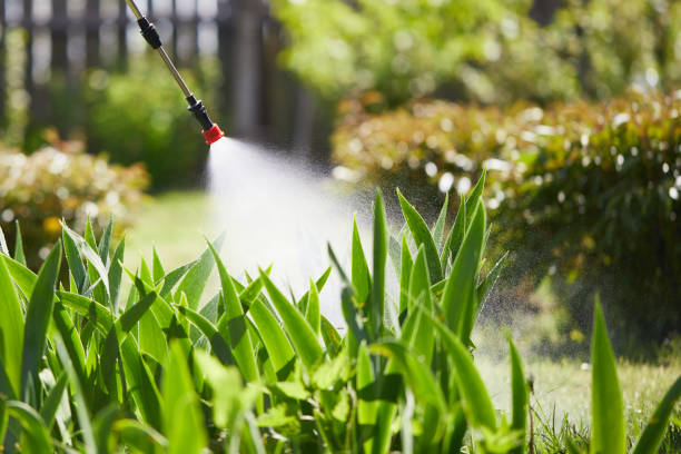 24/7 Emergency Wasp Removal experts in Lincoln, IL