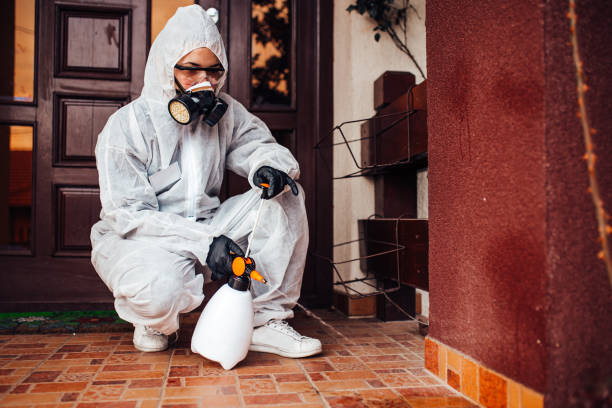 Reliable Wasp Removal contractor in Lincoln, IL by Show Me Pest Control