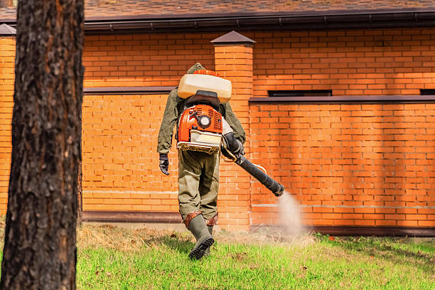 Top rated local Wasp Removal specialists in Lincoln, IL